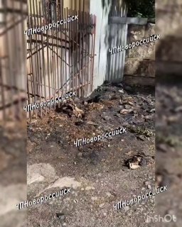 ❗️Нецензурная лексика