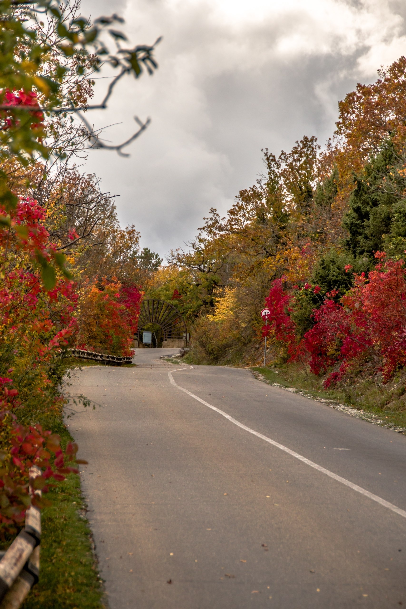 Доброе утро! 😔 Осень в Абрау-Дюрсо. 🍁