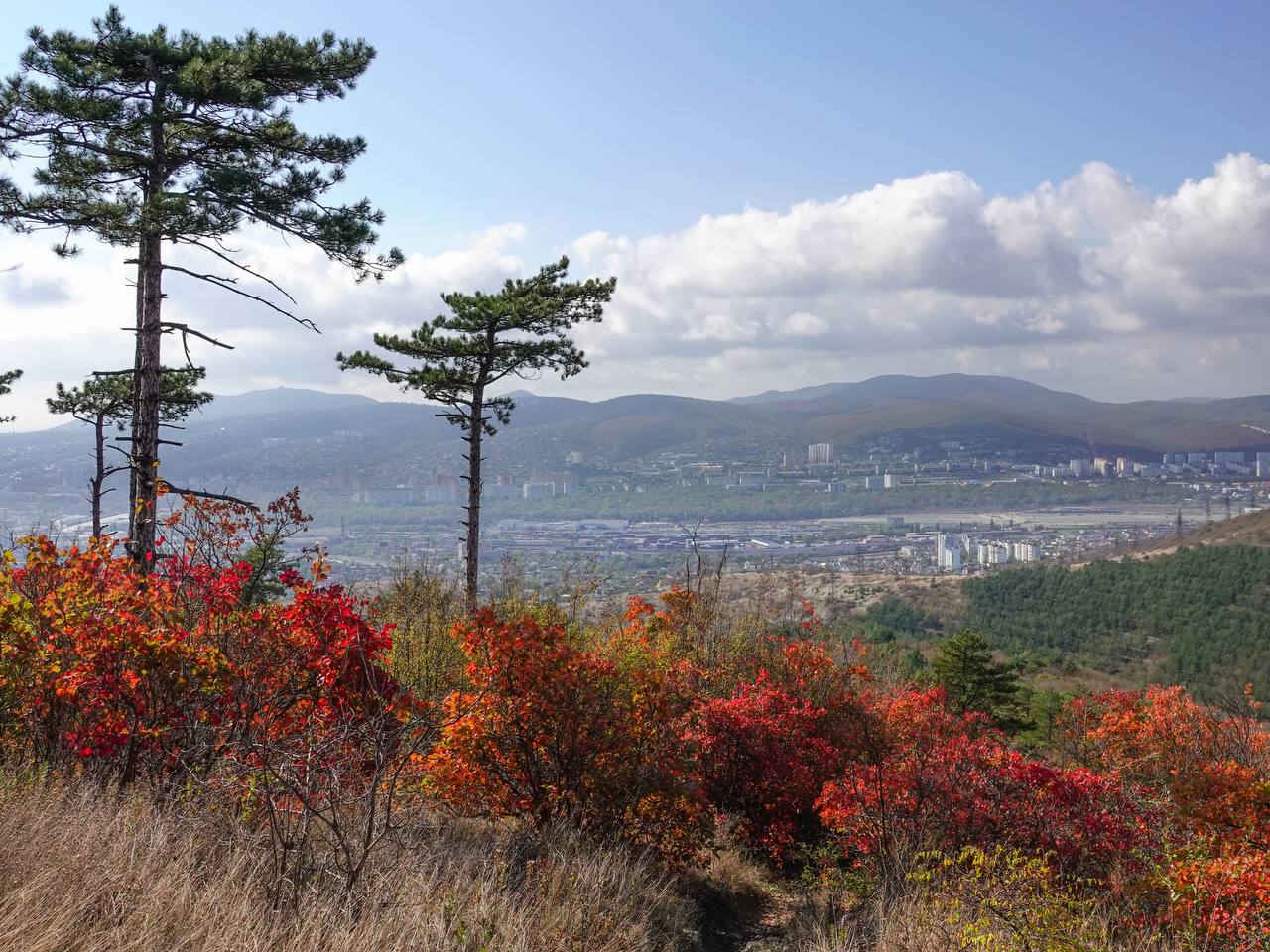 У подножия Лысой горы