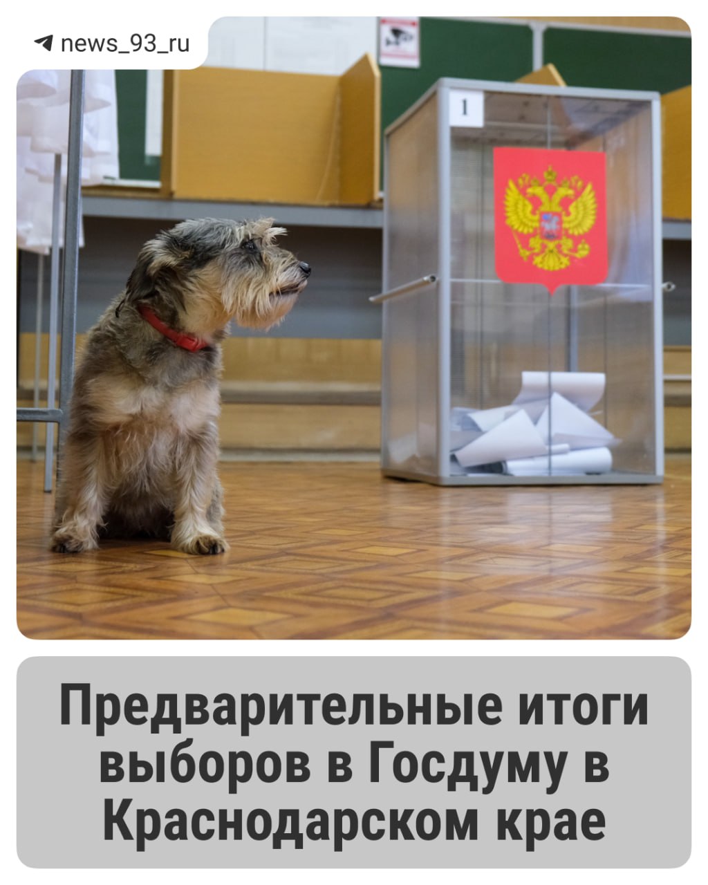 Угадайте с первой попытки, кто победил на выборах в Госдуму в Краснодарском крае?