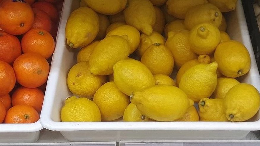 🍋 Лимоны за миллионы в Новороссийске