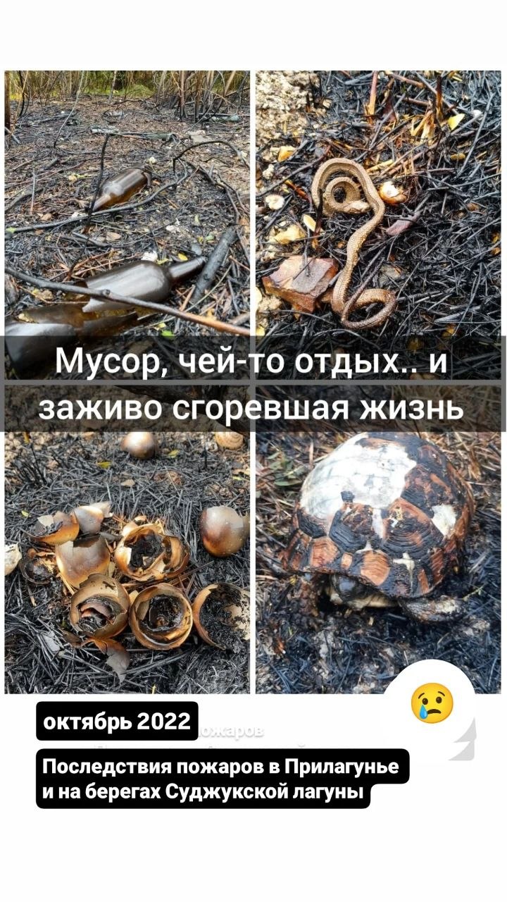 7 октября 2026, горело Прилагунье. На фото в посте - подробности и хроника пожаров в этом месте.