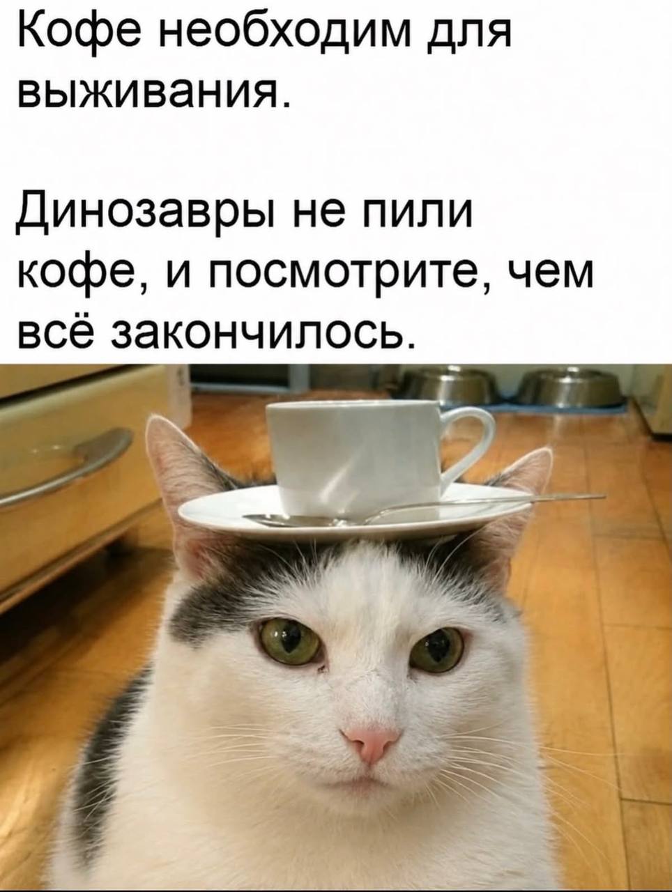 Рубрика "эти странные праздники"