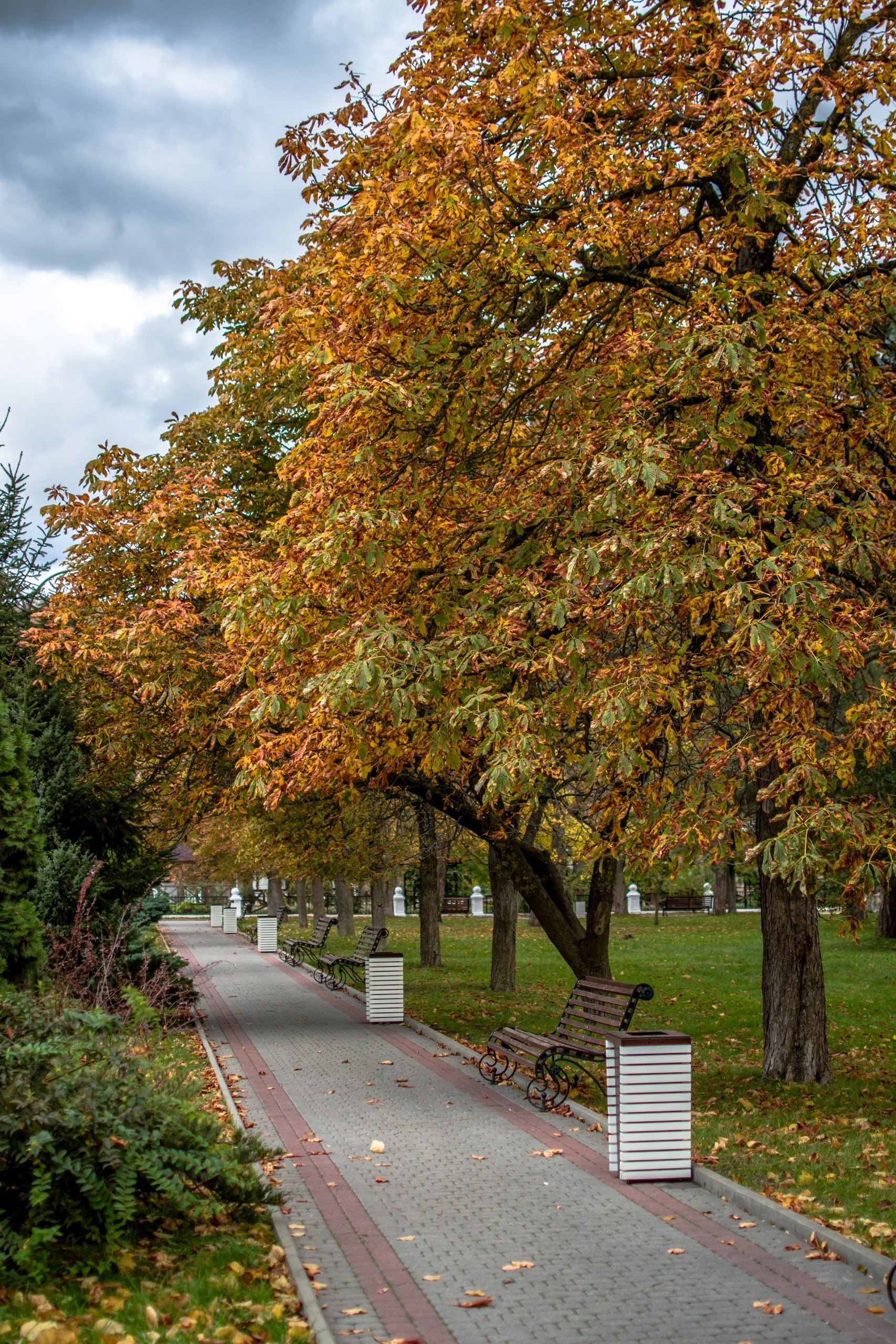 Доброе утро! 😔 Осень в Абрау-Дюрсо. 🍁