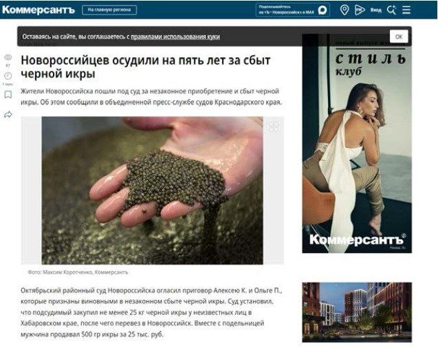 В декабре Следственный комитет (г. Новороссийск) возбудил уголовное дело по ч. 3 ст. 258.1 УК РФ в отношении двух новороссийцев — Кашфразиева Алексея Ханифовича и Потехиной Ольги Ивановны.