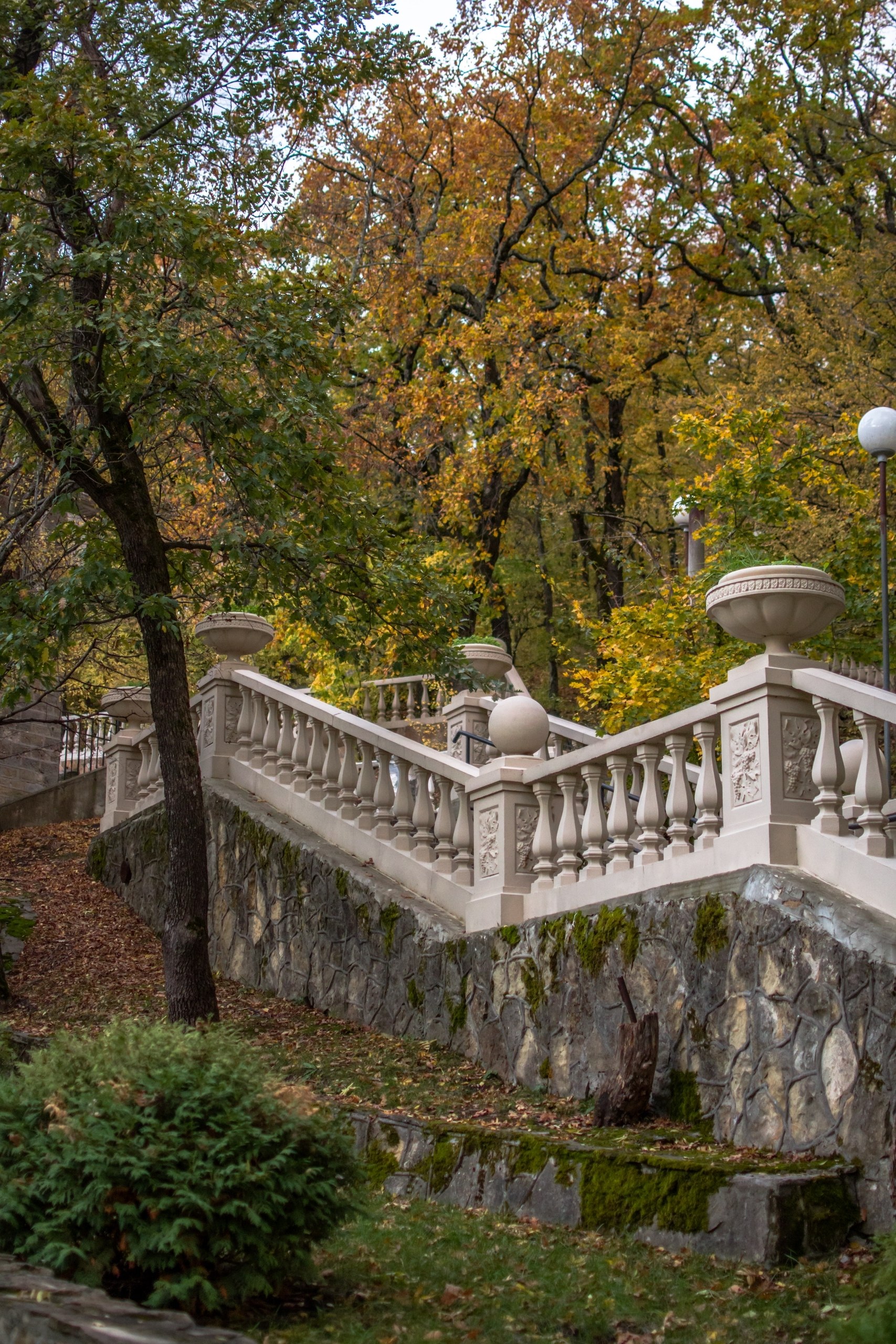 Доброе утро! 😔 Осень в Абрау-Дюрсо. 🍁