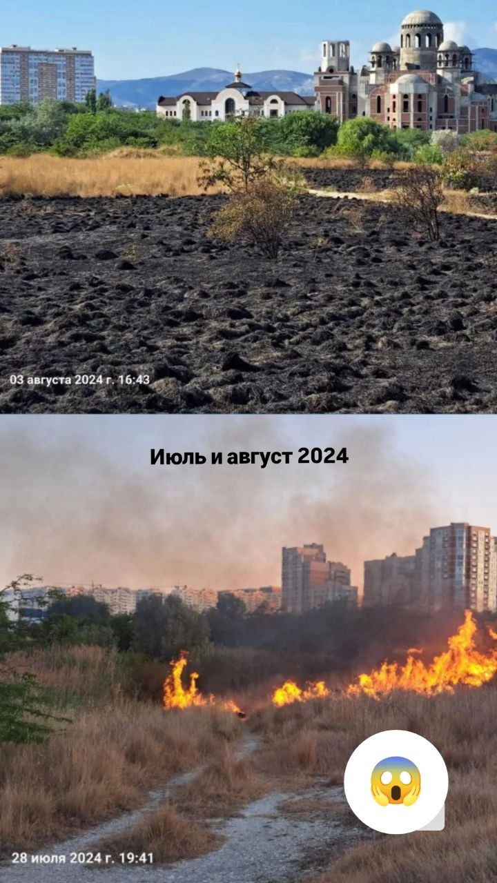 7 октября 2026, горело Прилагунье. На фото в посте - подробности и хроника пожаров в этом месте.
