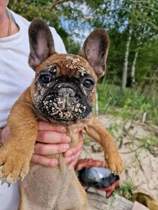🐾 Сегодня Всемирный день животных!