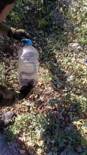 На бульваре Шостаковича спасатели поймали змею, которая пугала детей...