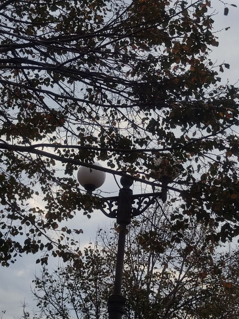 🍂 Октябрь мимоходом