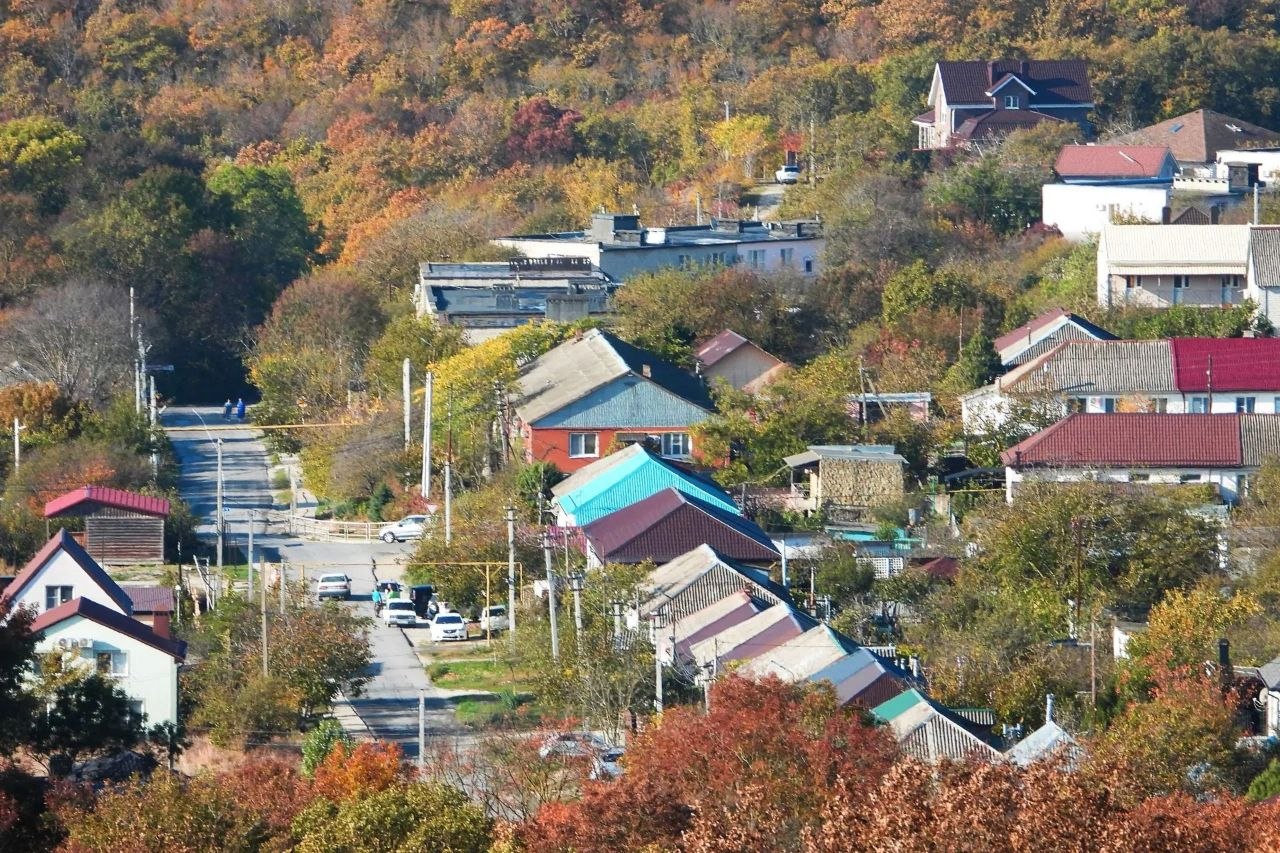 Осенние виноградники в Больших Хуторах 🍁
