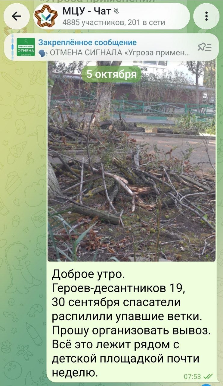 💬 С 5 октября прошу вывезти сухие ветки с детской площадки дома 19 по улице Героев-десантников.