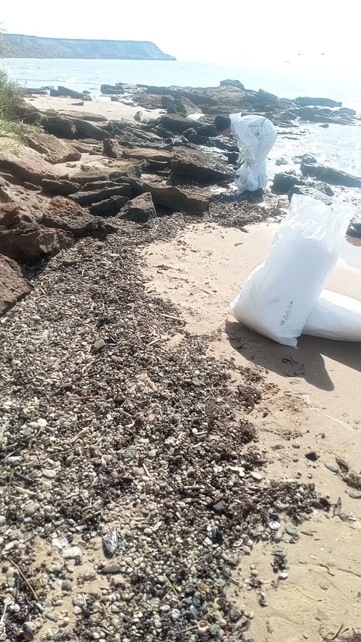 Снова выбросы пальмового масла на побережье Чёрного моря — район посёлка Волна, порт Тамань.