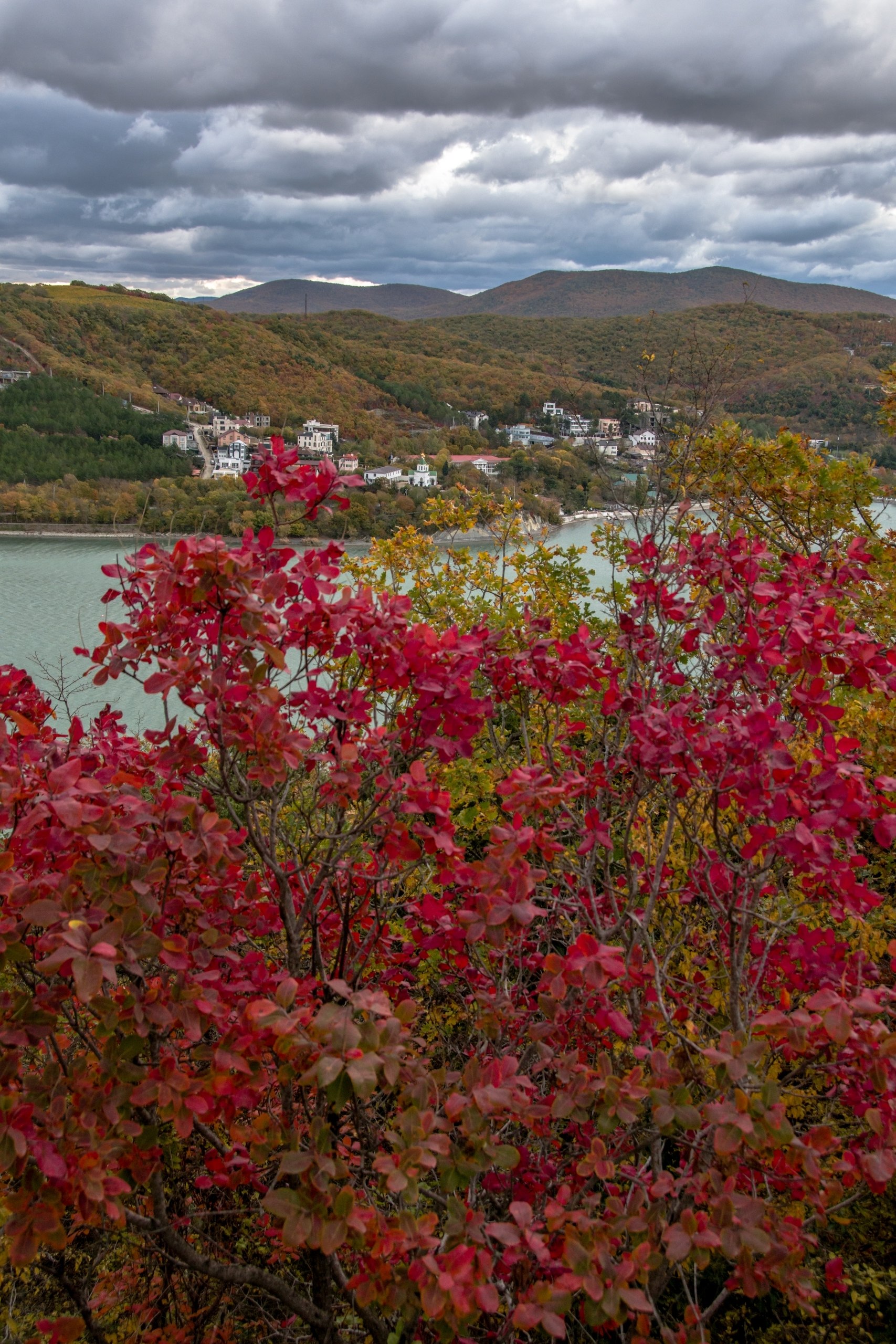 Доброе утро! 😔 Осень в Абрау-Дюрсо. 🍁