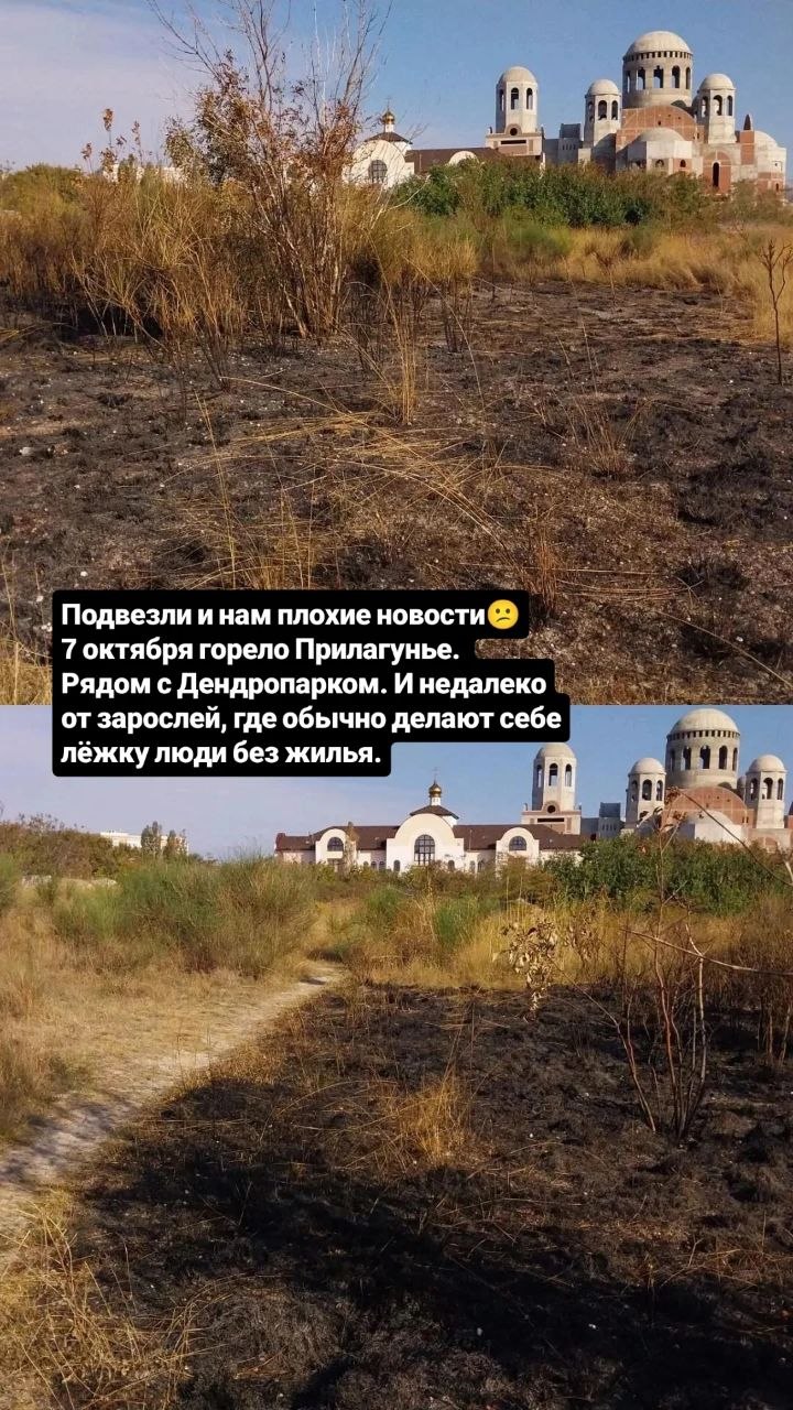 7 октября 2026, горело Прилагунье. На фото в посте - подробности и хроника пожаров в этом месте.