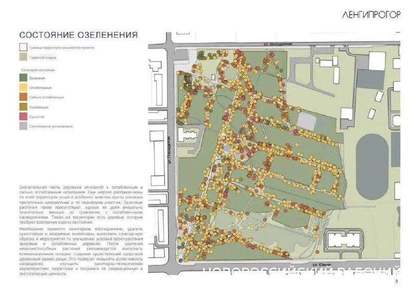 Пионерской роще новороссийска поставили «диагноз»: общественники с ним не согласны