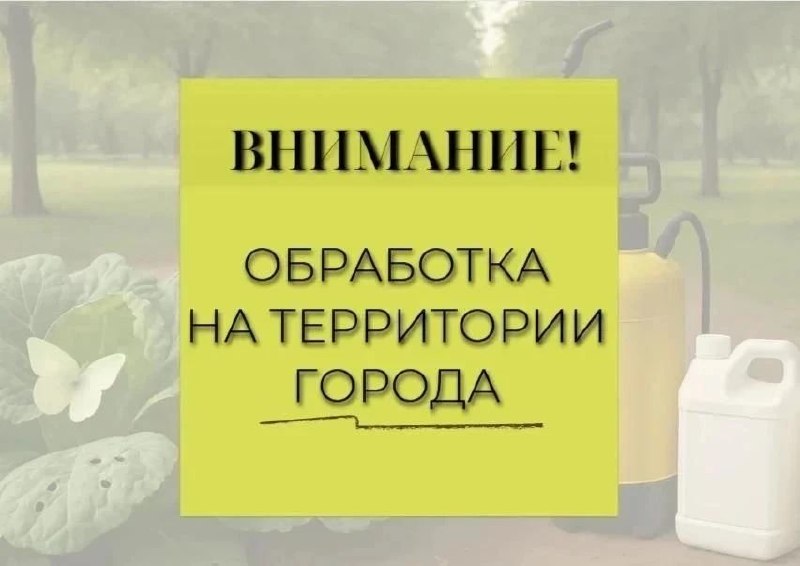 ‼️ВНИМАНИЕ‼️