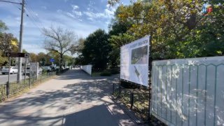 ✅ Жители выбрали, каким станет сквер «Философский»