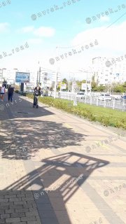 Вот эти дети ездят на самокате по тротуару на проспекте Ленина и плюют в прохожих. Потом выехали на встречку, на проезжую часть.