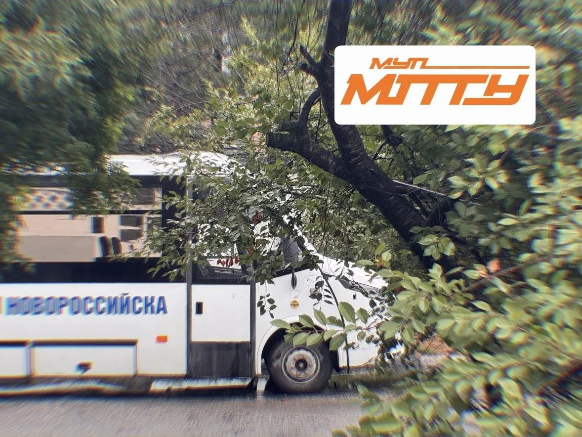 🗣️ Уважаемые пассажиры!