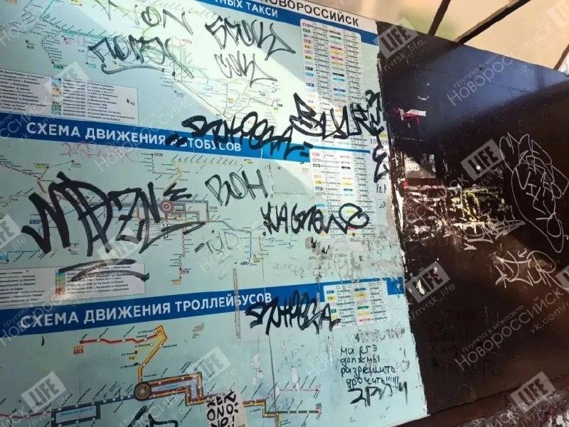 Срач по колено. Новороссийцы жалуются на состояние дворов и скверов – мусор, граффити, гнилые лавочки и урны