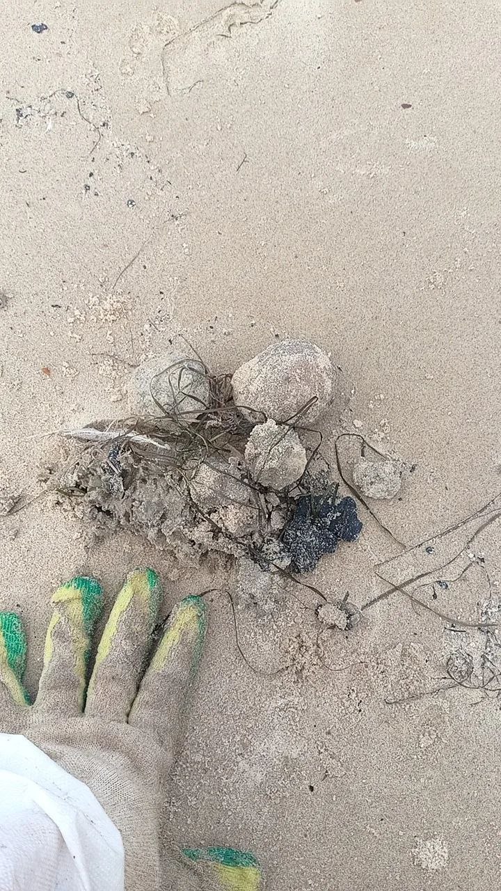 Снова выбросы пальмового масла на побережье Чёрного моря — район посёлка Волна, порт Тамань.