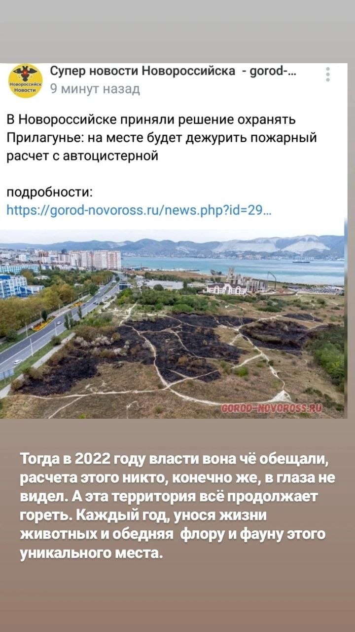 7 октября 2026, горело Прилагунье. На фото в посте - подробности и хроника пожаров в этом месте.