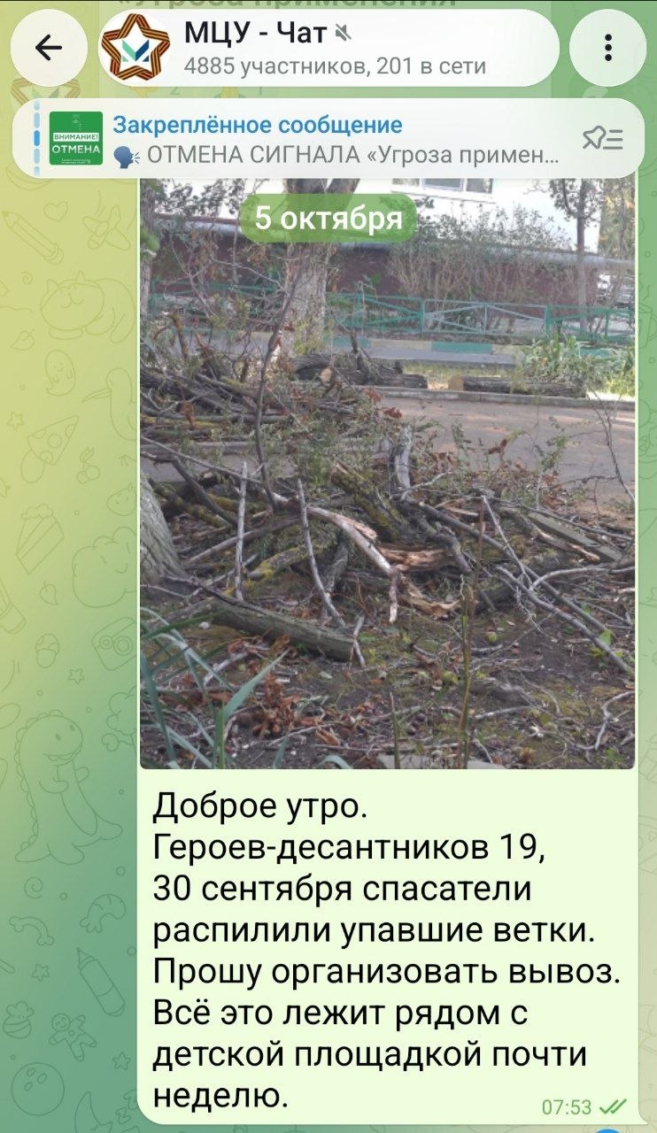 💬 С понедельника прошу МЦУ организовать вывоз веток. МЦУ игнорирует мои обращения.