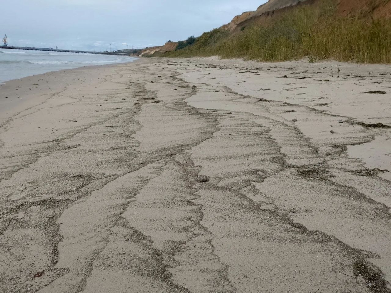 Снова выбросы пальмового масла на побережье Чёрного моря — район посёлка Волна, порт Тамань.