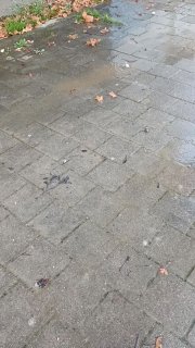 💬 По Черняховского уже больше месяца течёт вода, уже бьёт фонтанчиком, чуть выше аптечного пункта Апрель