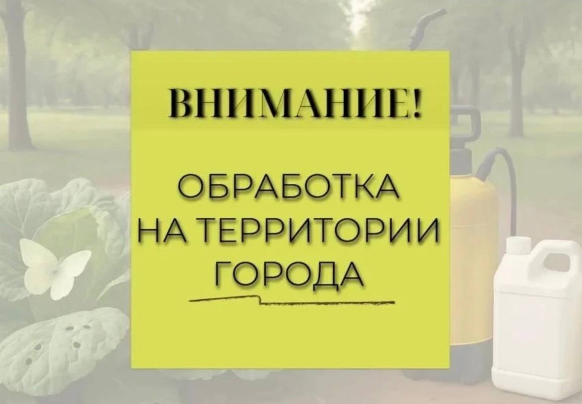 Внимание! В Новороссийске будут проводиться работы по уничтожению мраморного клопа