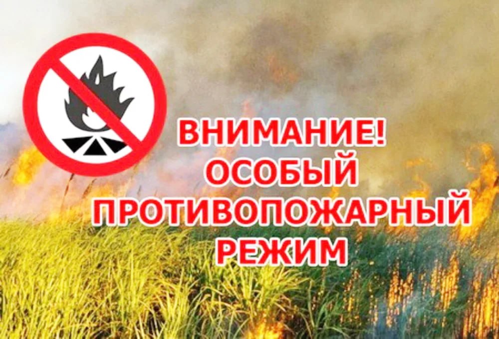🌧 В Новороссийске отменили особый противопожарный режим