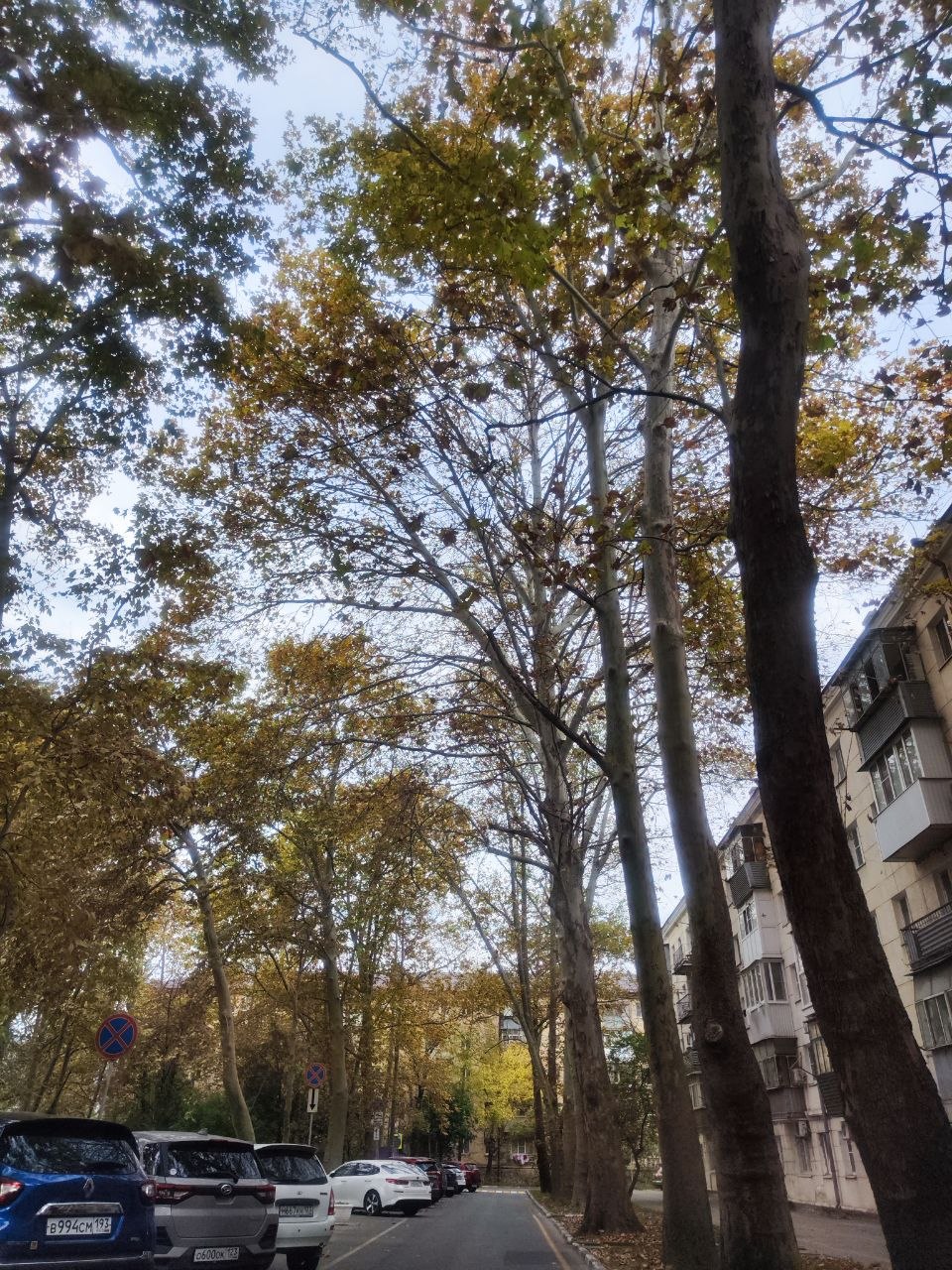 🍂 Октябрь мимоходом