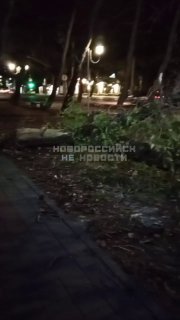 Последствия порывистого ветра этой ночью на Толстого 11 со стороны дороги