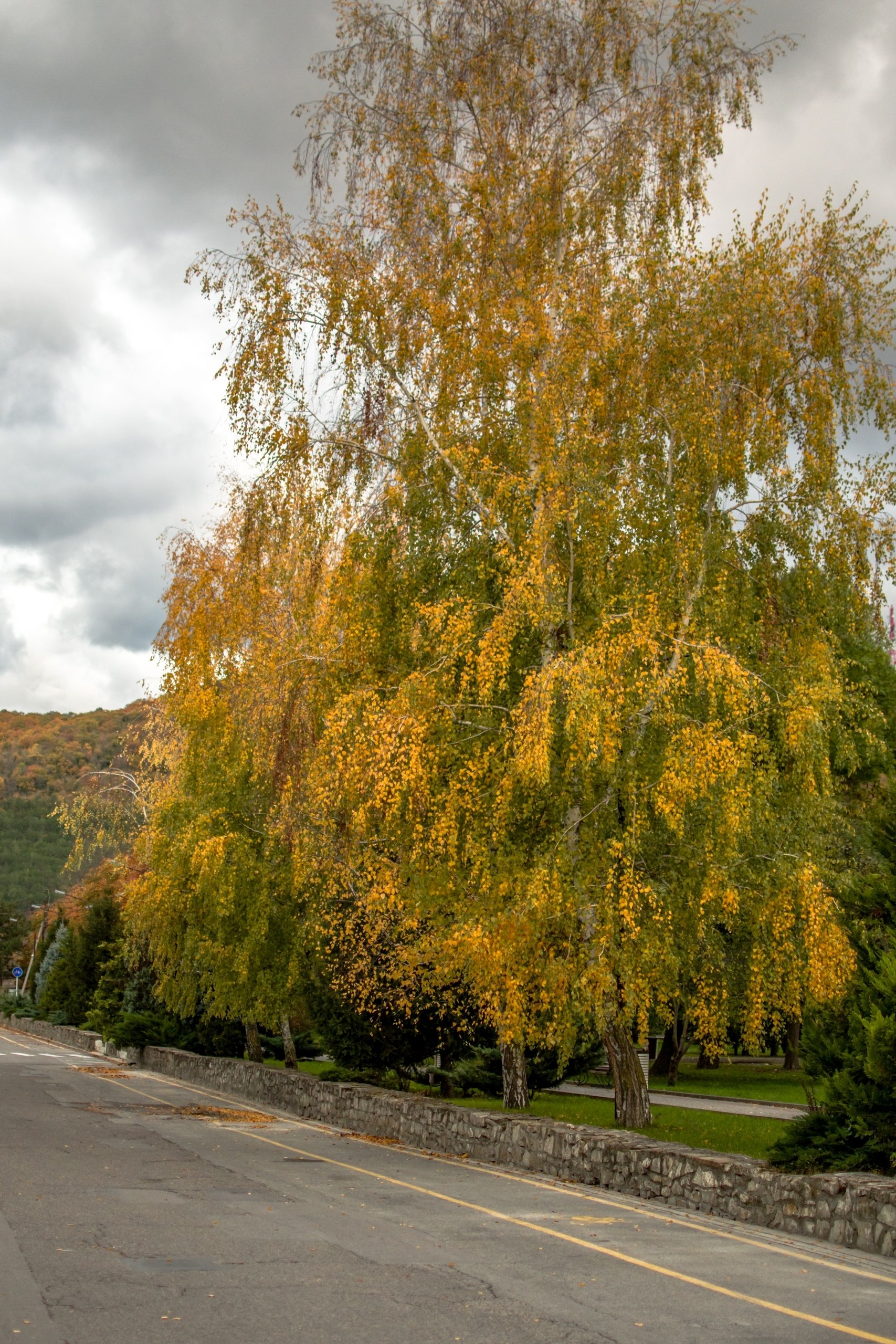 Доброе утро! 😔 Осень в Абрау-Дюрсо. 🍁