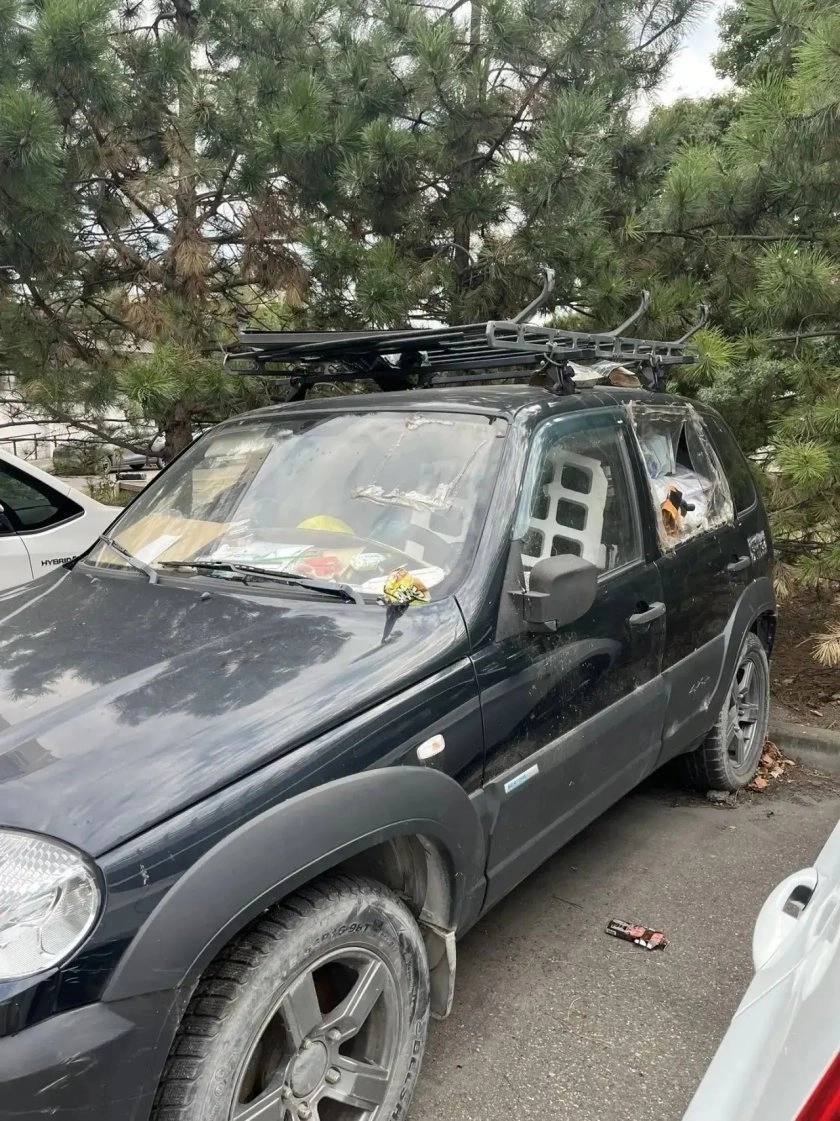 Срач по колено. Новороссийцы жалуются на состояние дворов и скверов – мусор, граффити, гнилые лавочки и урны