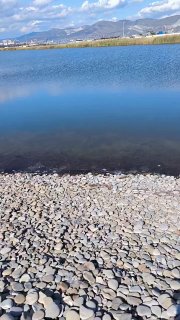 Пляж Алексино, вчера вынесло с моря в большом количестве пленку с пятнами мазута. Весь пляж по всей длине завален. Фото не передаёт этого загрязнения😱